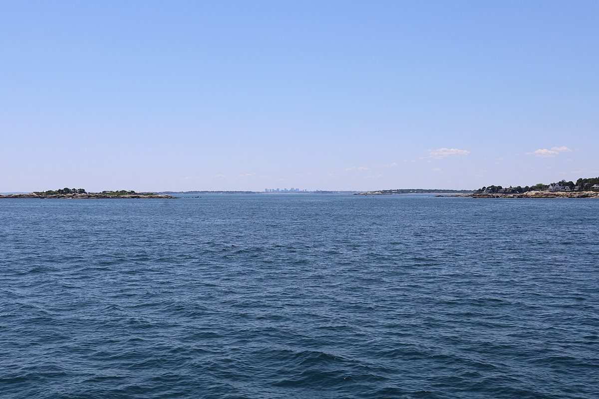 sailboats moored in Marblehead harbor