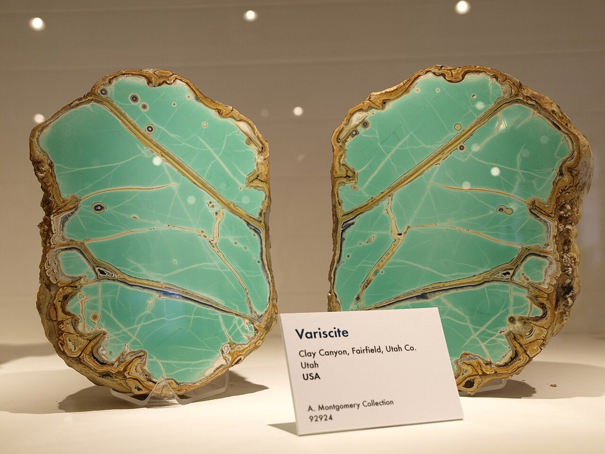 Glass Flowers exhibit hall at the Harvard Museum of Natural History Cambridge