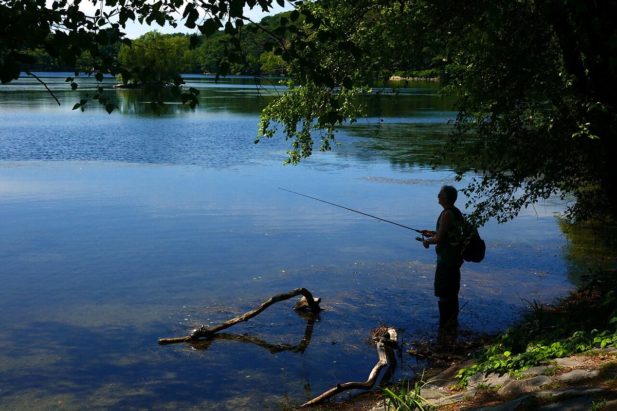 A person fishing along the shore of Jamaica Pond in Jamaica Plain, Boston