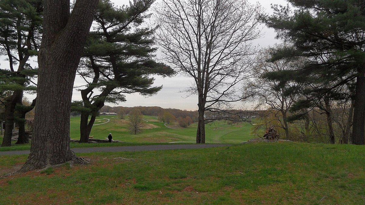 Open meadow and tree line at Franklin Park in Boston