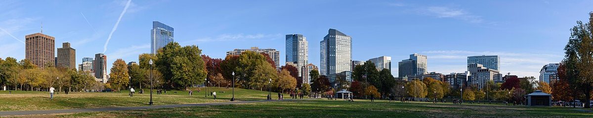 The open green of Boston Common with the downtown skyline behind it