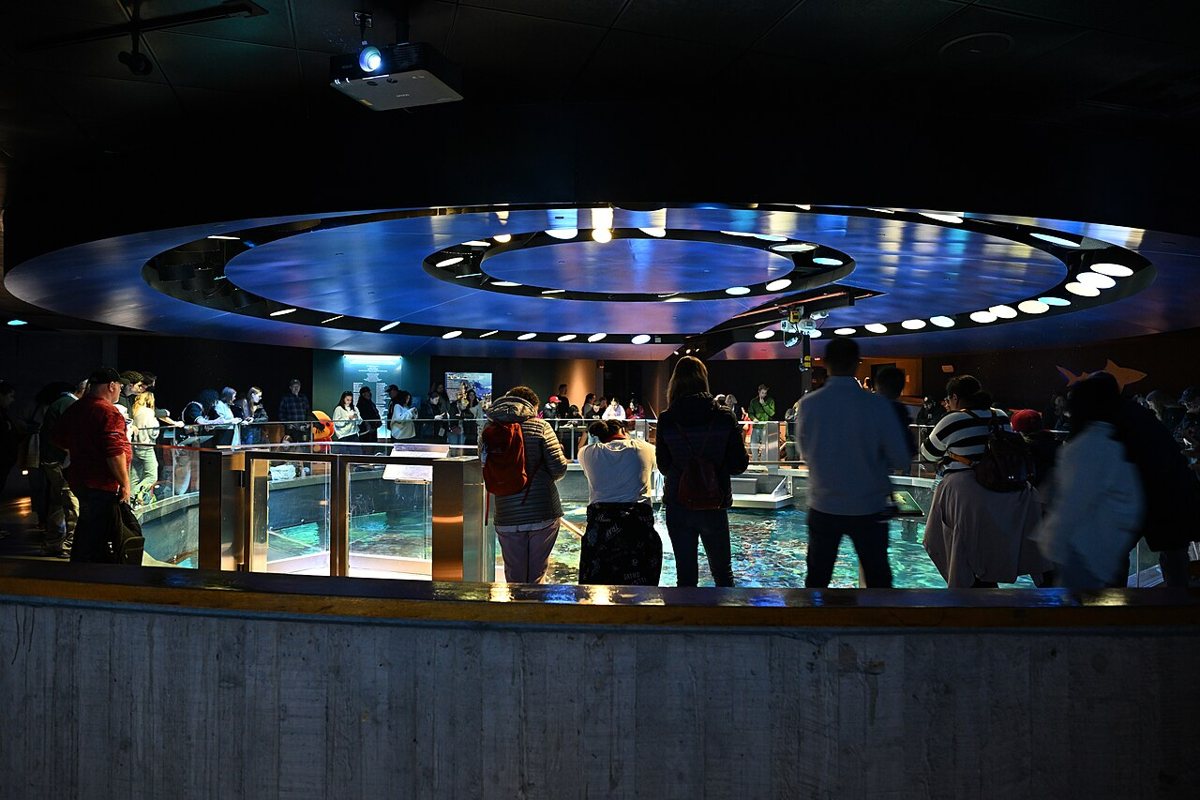 New England Aquarium building and harbor seal exhibit on the Boston waterfront