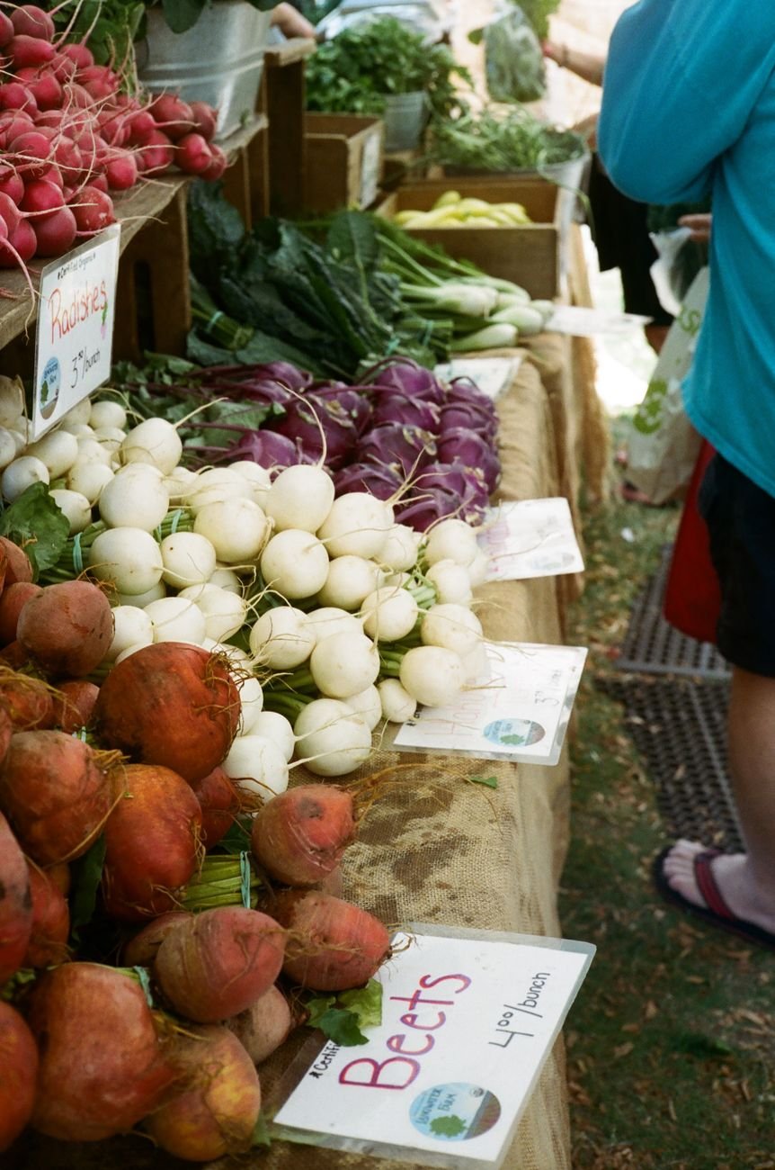 vendor stalls and crowds at the SoWa Open Market in the South End