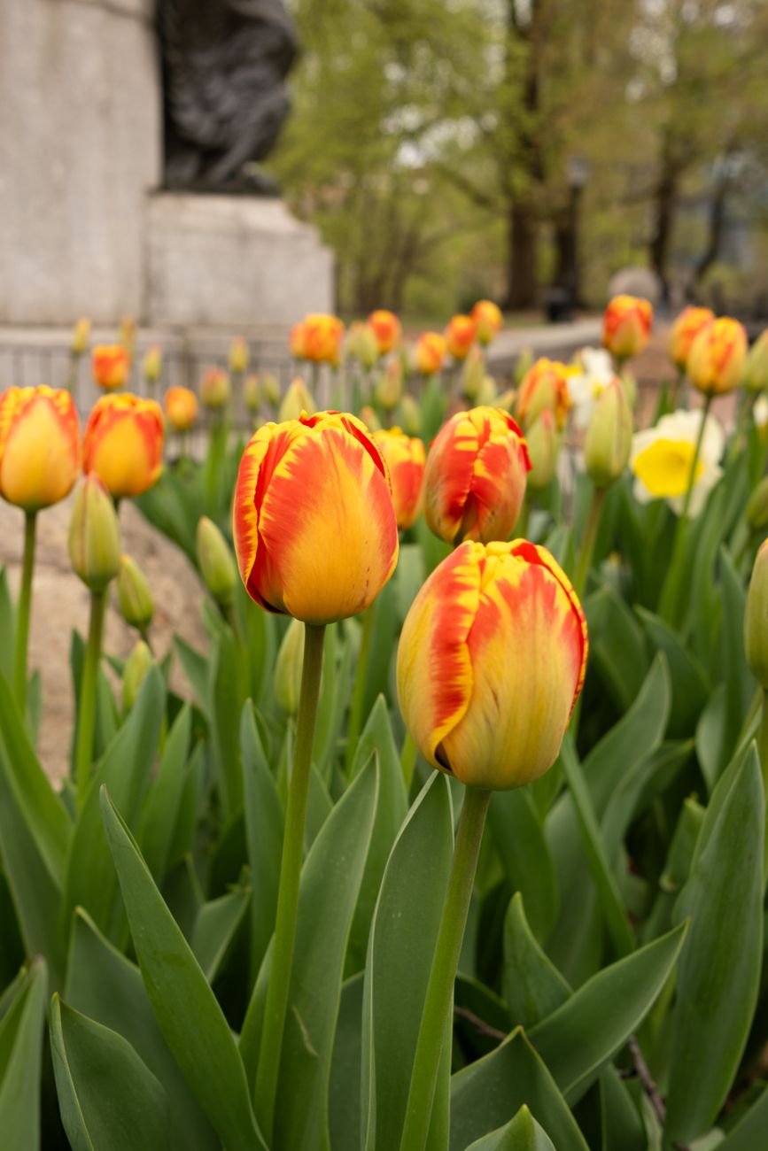 spring things to do in boston